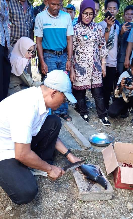 Ikan Patin dari Bengkulu Selatan Sulit Dipasarkan, Terkendala Masalah Ini