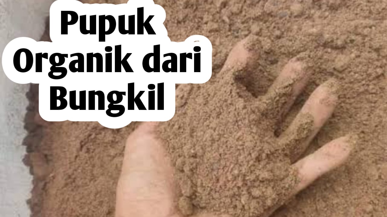 Membuat Pupuk Organik dari Bungkil, Ini Manfaatnya