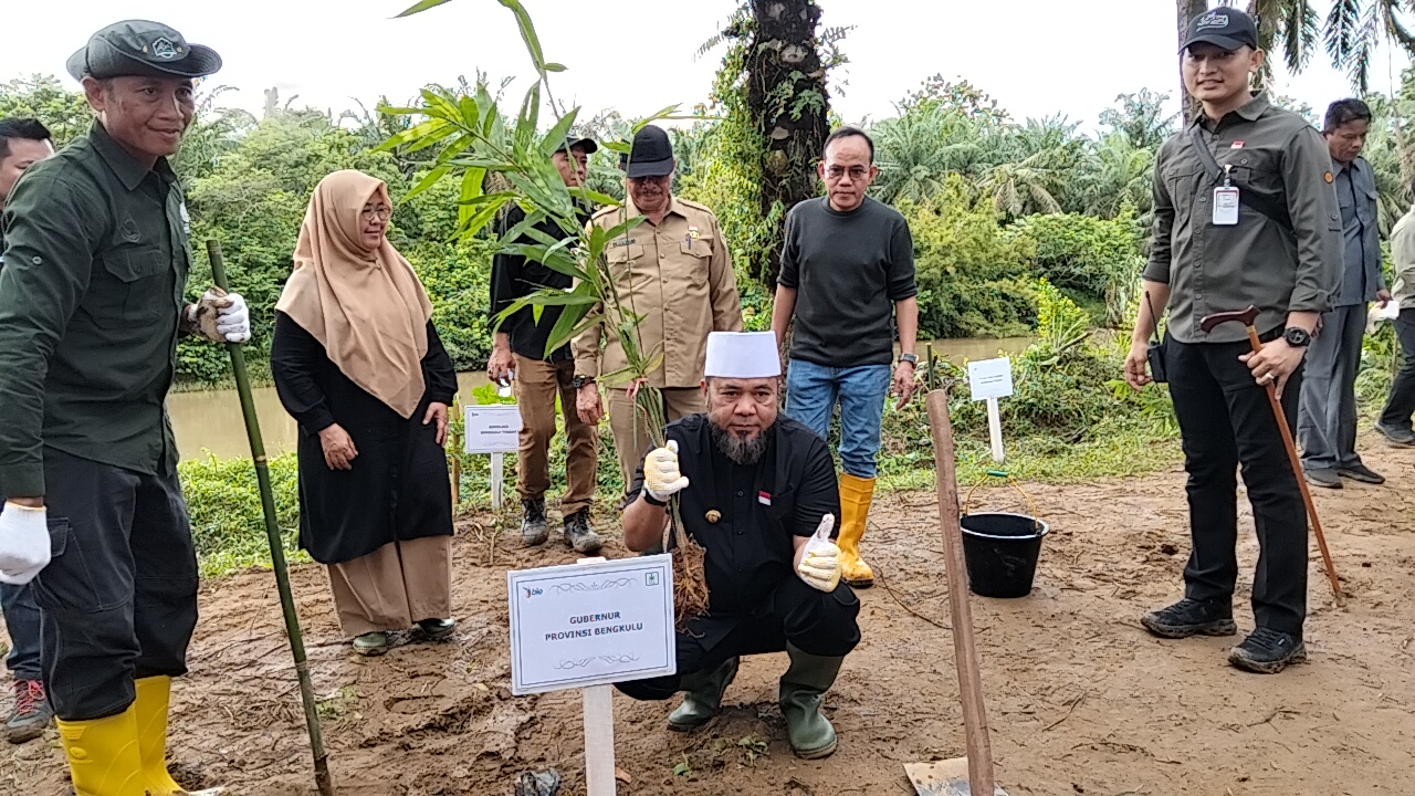 Gubernur Helmi Hasan Larang Sawit di Pinggir Sungai, 50 Meter dari Bibir DAS Wajib Pohon