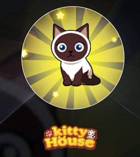 Main Game Rawat Kucing, Tanpa Repot Dibayar Saldo DANA Gratis Rp100.000