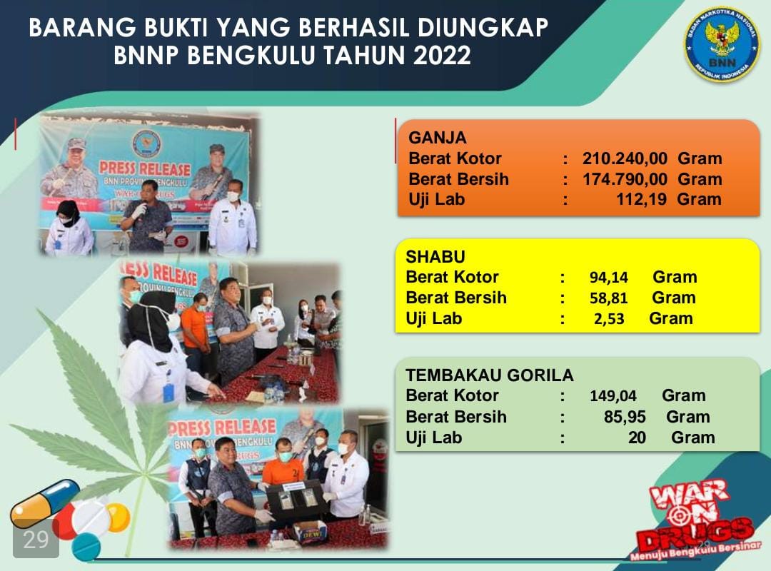 BNNP Bengkulu Amankan 17 Orang Tersangka, Ratusan Kilogram Ganja dan Pil Ekstasi  