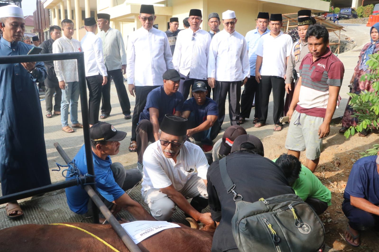 Polda Bengkulu  Kurban 116 Ekor Hewan, Semuanya untuk Masyarakat Bengkulu