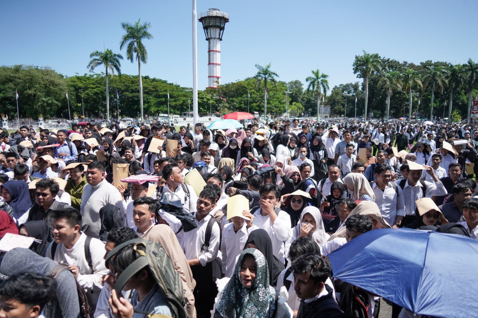 Digaji UMP, Ribuan Fresh Graduate Telah Bekerja Lewat Loker  Magang Nasional 