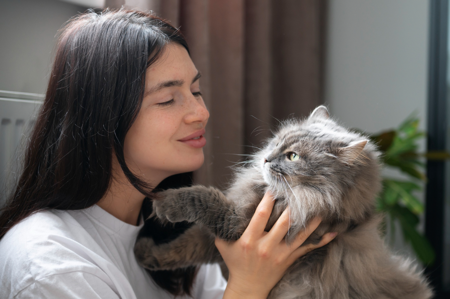 Aneh tapi Nyata, Kenapa Kucing Suka Mendekati Orang yang Takut Padanya?