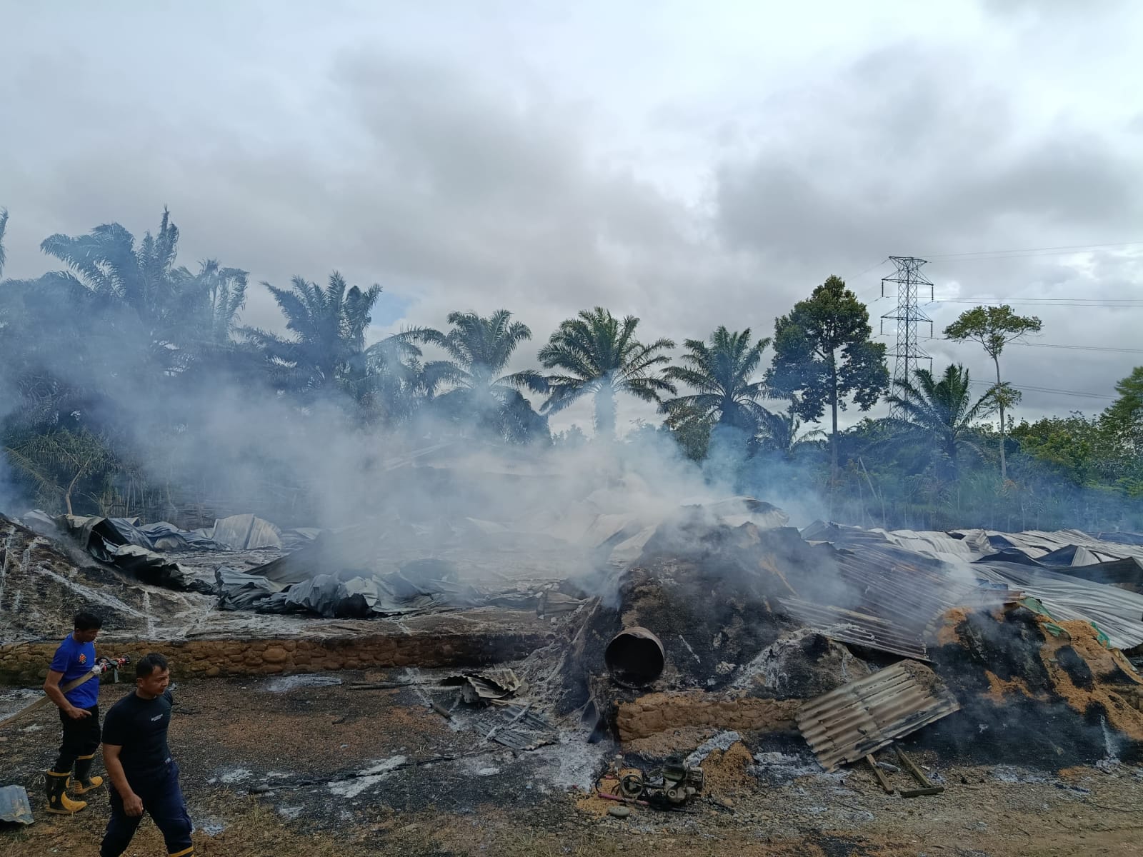 Kandang Ayam di Ulak Lebar Pino Terbakar, Kerugian Capai Rp750 Juta