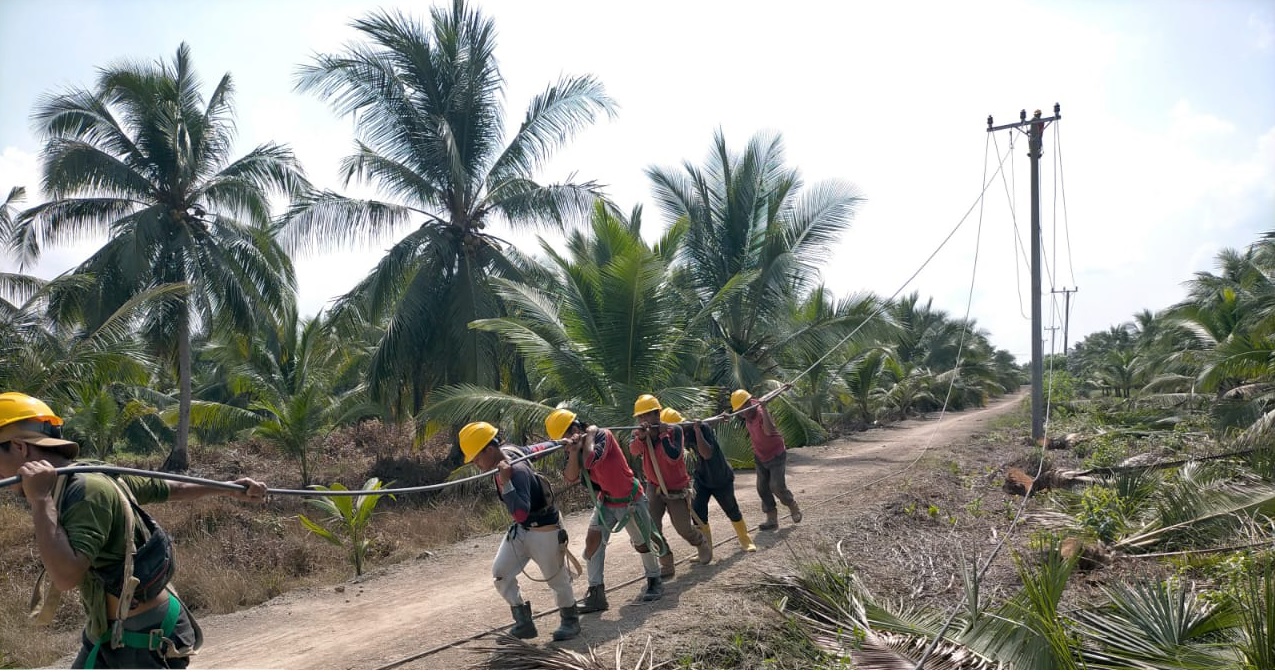 Listrik PLN Masuk Desa, Industri Perikanan Warga Desa Perajen Jaya di Sumsel Tumbuh Pesat