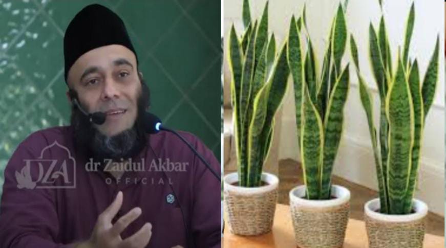 Tanaman Ini Ampuh Membasmi Sel-sel Cikal Bakal Kanker, Berikut Penjelasan dr Zaidul Akbar