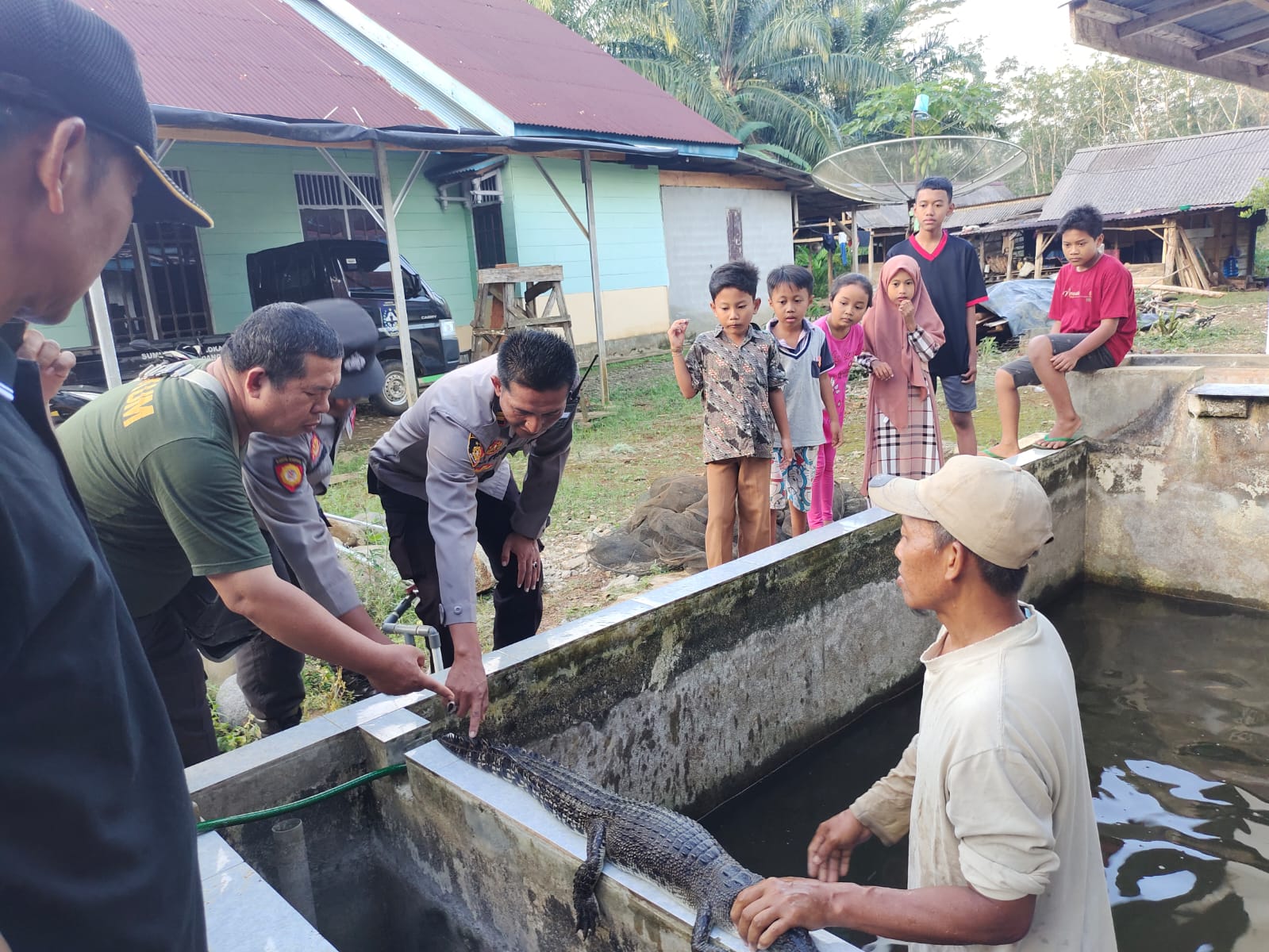 Buaya yang Ditemukan di Bengkulu Utara Diserahkan ke BKSDA