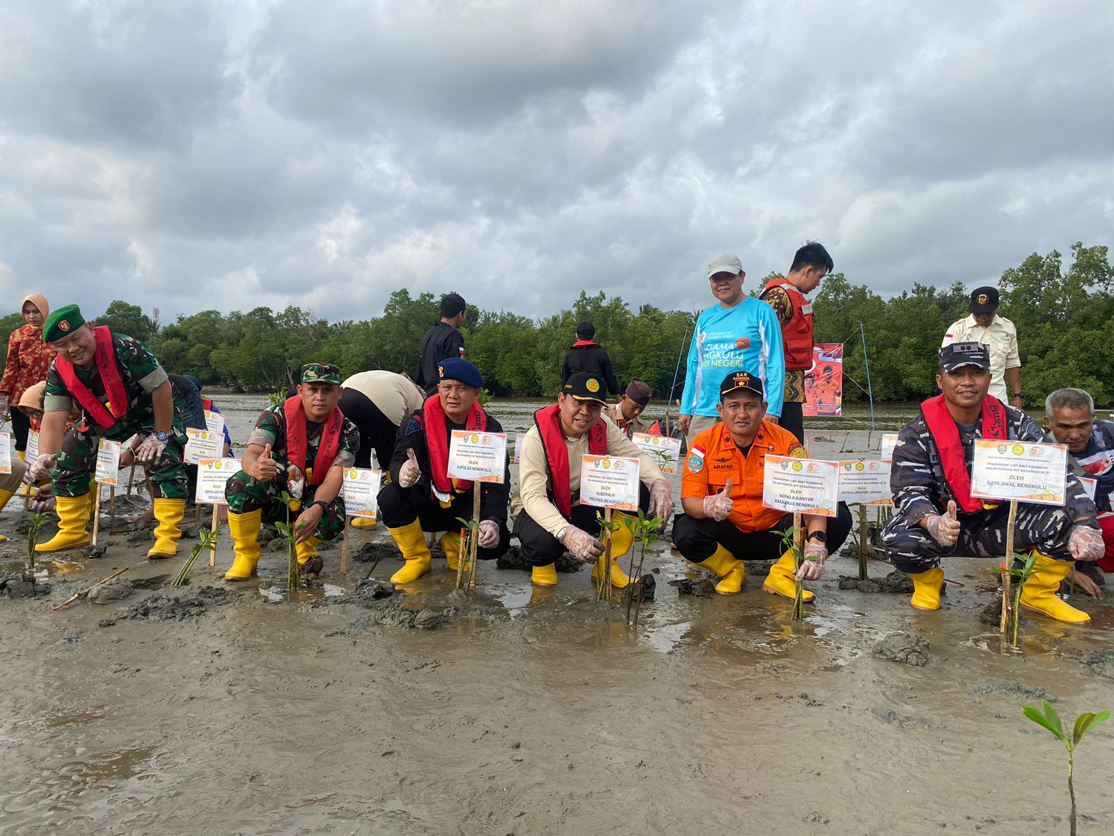 1.051 Bibit Mangrove Ditanam di Muara Jenggalu 