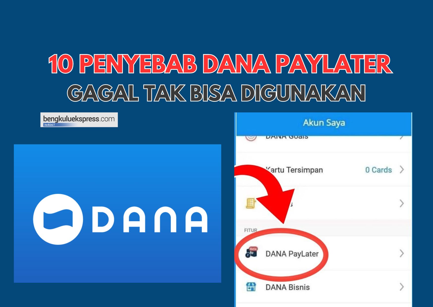 Ternyata ini 10 Penyebab DANA Paylater Gagal dan Tak Bisa Digunakan, Cek Segera