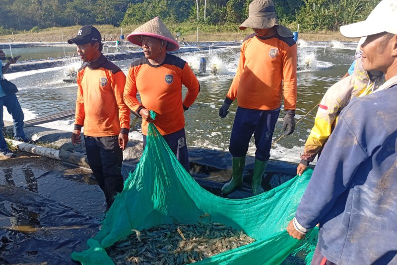 Ketahanan Pangan dan Jalan Pulang Warga Binaan Nusakambangan