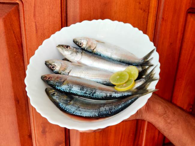 Nutrisi Ikan Lemuru dan Manfaatnya bagi Kesehatan