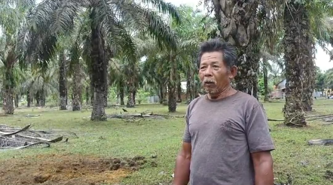 Pencurian Hewan Ternak Dengan Modus Disembelih di Tempat Hebohkan Warga Padang Serai Kota Bengkulu