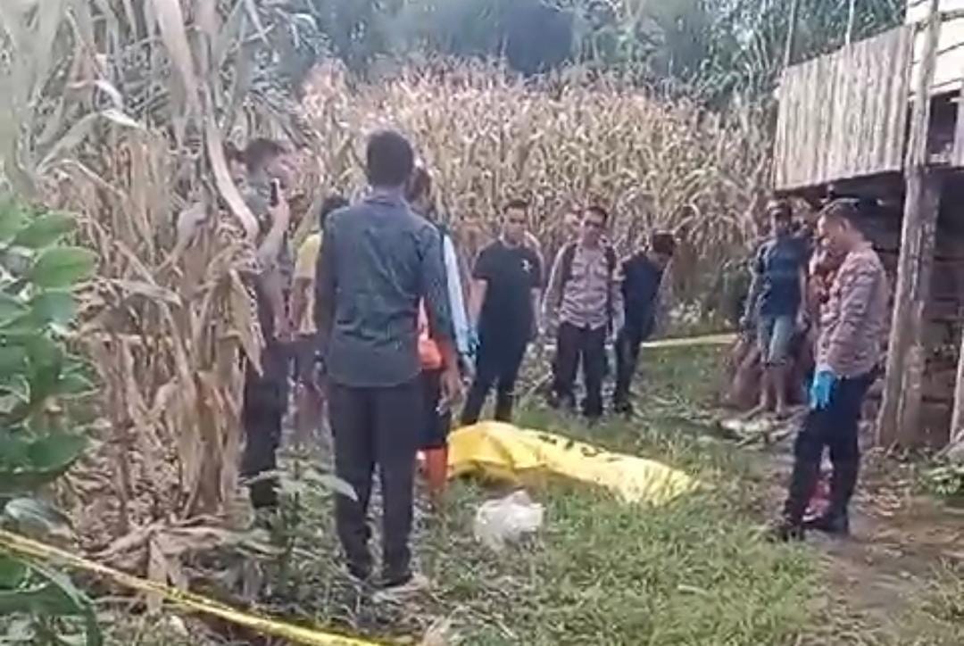 Warga Rejang Lebong Diduga Tewas Dibunuh Istri, Ditemukan Terkapar di Kebun Jagung