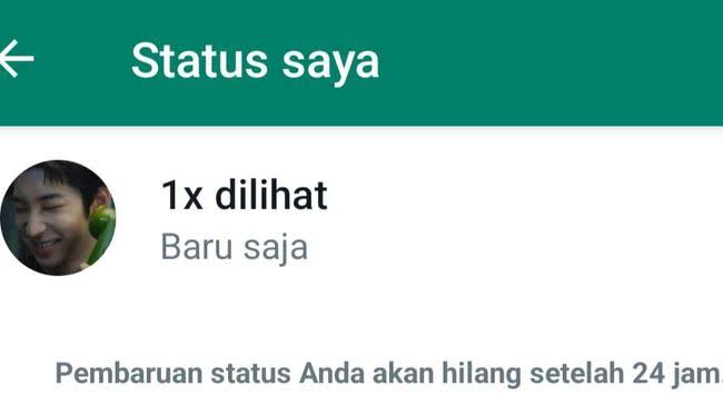 Mau intip Status WhatsApp Orang Lain Tanpa Ketahuan? Coba Lakukan Cara Ini