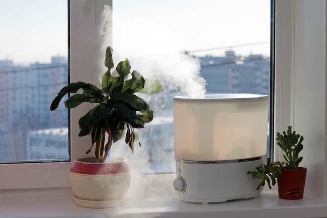 Humidifier Ampuh untuk Menjaga Kelembaban Udara