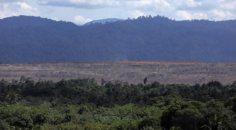 Tutupan Hutan Rendah, Potensi Bencana Ekologi Provinsi Bengkulu Tinggi