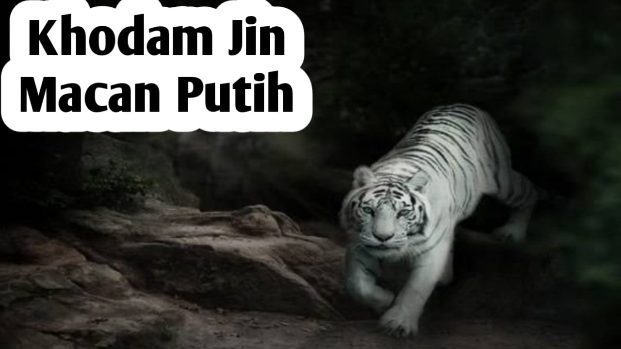 7 Ciri Orang yang Dilindungi Khodam Jin Macan Putih