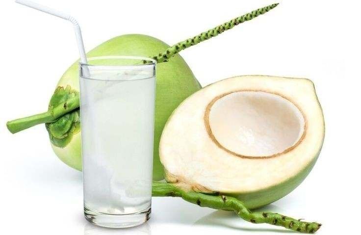  Simak 7 Kelompok Orang yang Tidak Boleh Minum Air Kelapa yang Perlu Diketahui 