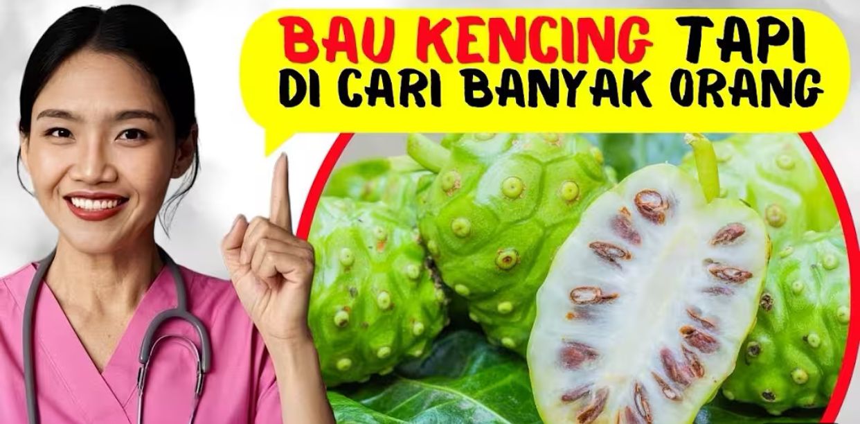 Inilah 4 Manfaat Buah Mengkudu untuk Kesehatan Tubuh