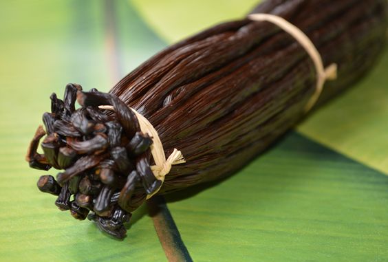 Digunakan Sebagai Obat Tradisional, Intip Sederet Manfaat Vanilla Untuk Kesehatan 