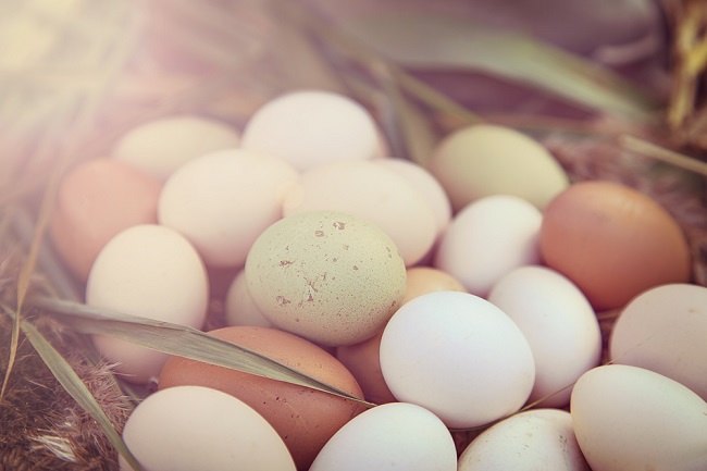 Dikenal Sejak Dulu Kala, Telur Ayam Kampung yang Kaya Akan Nutrisi