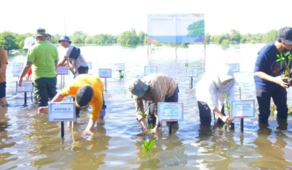 Pemprov Bengkulu Dukung Program Penghijauan Guna Cegah Krisis Iklim 