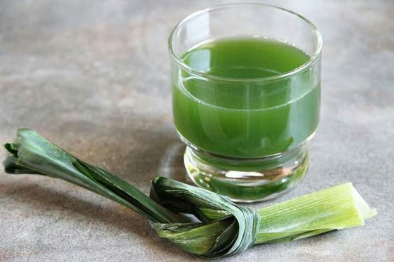 7 Manfaat dan Cara Membuat Minuman Daun Pandan yang Bagus Untuk Tubuh 