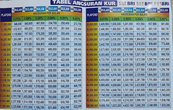 Simak Tabel Angsuran KUR BRI 2024, Mulai Pinjaman Rp 10 Juta Hingga Rp 500 Juta