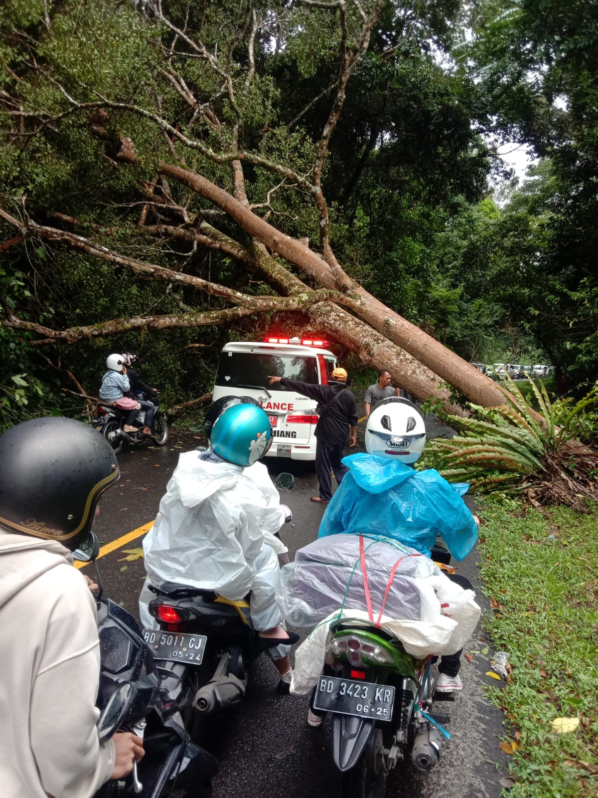 Pemangkasan Pohon di Liku Sembilan Kembali Dilanjutkan, Buka Tutup Jalan Diberlakukan