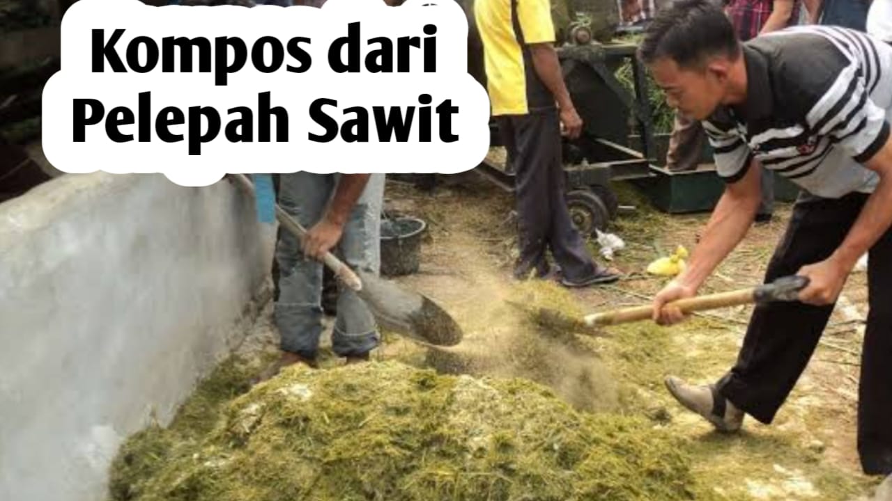 Cara Membuat Pupuk Kompos dari Pelepah Sawit