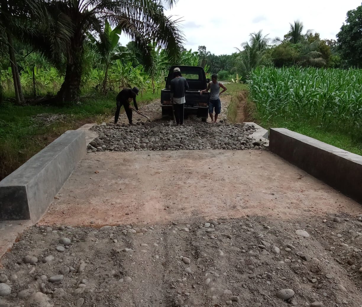 Pembangunan Infrastruktur Pertanian di Mukomuko Capai 90 Persen