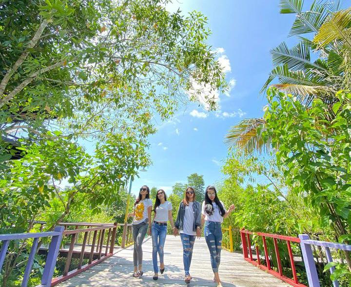 Berkunjung ke Hutan Mangrove Klawalu, Destinasi Wisata Manggrove Pertama di Papua