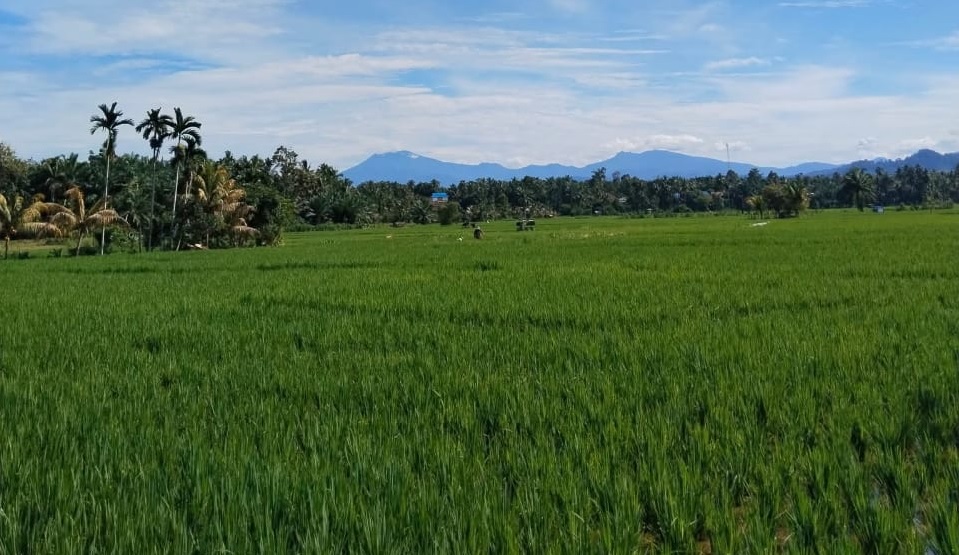 Tolak Zona Pertanian Jadi Zona Petambangan, Masyarakat Mukomuko Ancam Akan Demo Besar-besaran