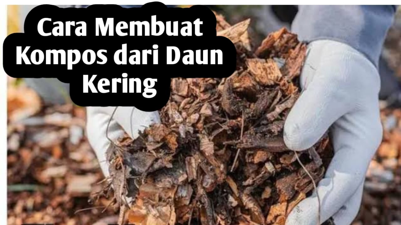 Cara Mudah Membuat Pupuk Kompos dari Daun Kering