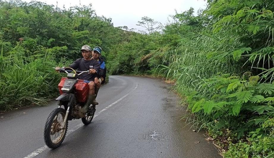 Warganet Curhat Jalan Rimbo Pengadang Dikelilingi Semak Belukar