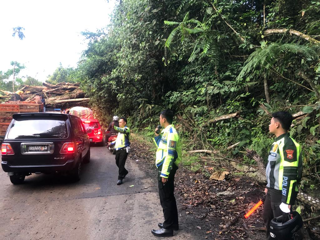 Pohon Berumur 105 Tahun di Jalan Bengkulu - Kepahiang  Ditebang Sebabkan Kemacetan Ribuan Kendaraan