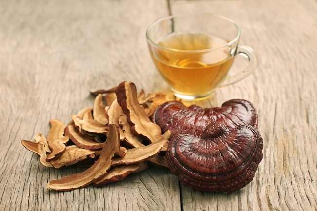 5 Manfaat Jamur Ganoderma yang Bagus untuk Kesehatan Tubuh