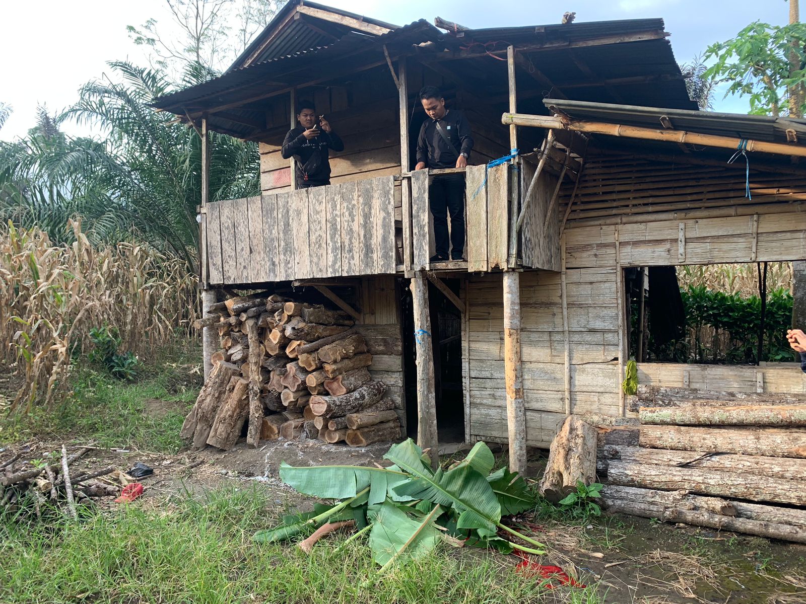 Ini Dugaan Penyebab Istri Bunuh Suami di Rejang Lebong, Sebelumnya Sudah Pisah Ranjang 2 Bulan