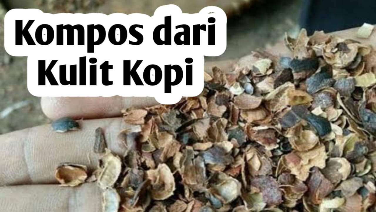 Pupuk Kompos dari Kulit Kopi, Ini Cara Membuatnya