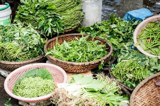 Kenali 10 Manfaat Buah dan Daun Angkung Untuk Kesehatan 