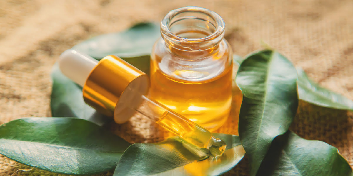 Ampuh Atasi Ketombe! Ini Dia 13 Manfaat Tea Tree Oil