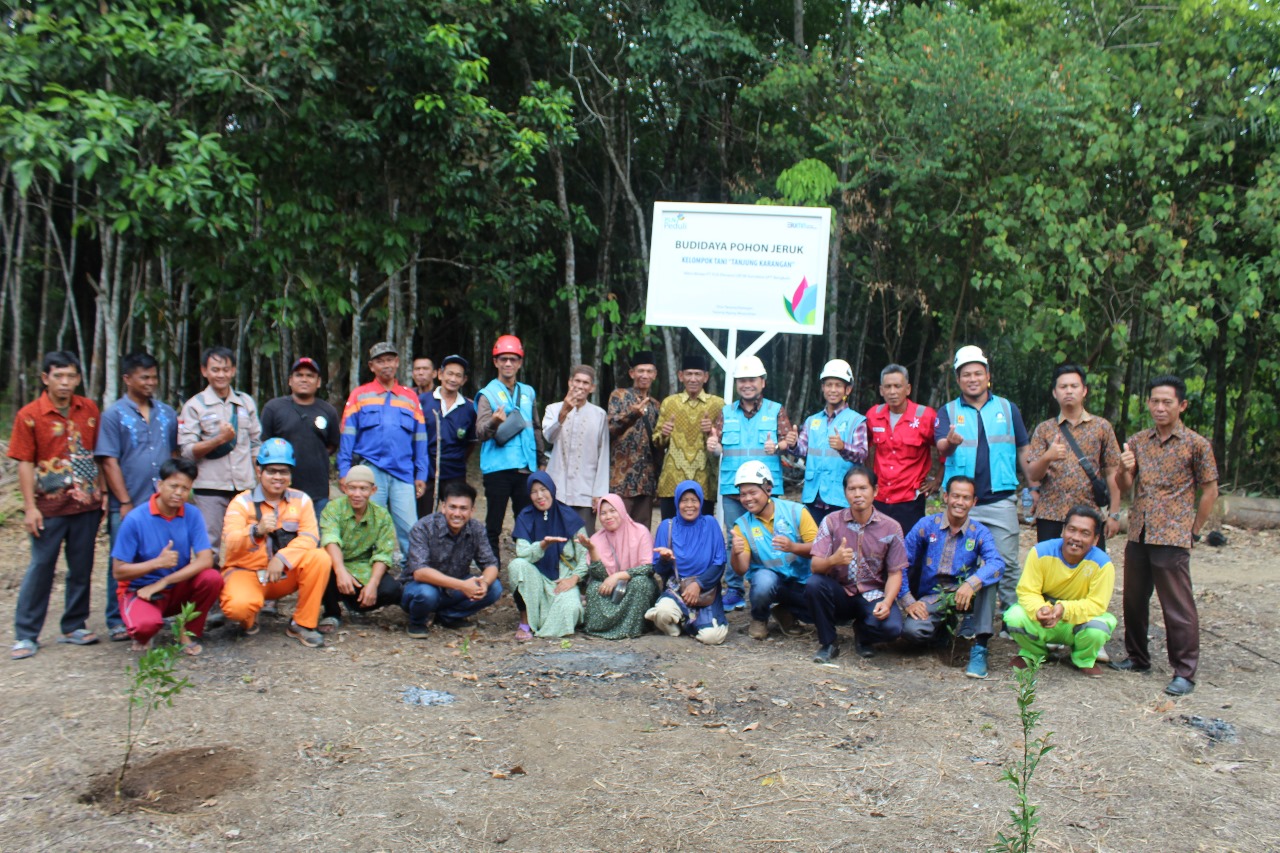 Tingkatkan Produktivitas Masyarakat, PLN Hadirkan Budidaya Jeruk di Bawah Jalur Transmisi