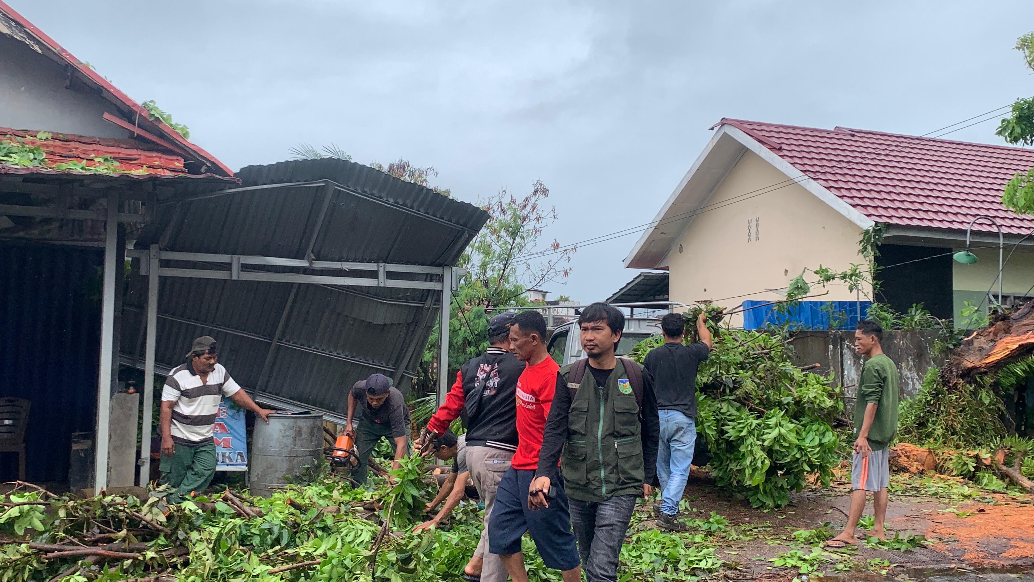 Hujan Deras Picu Pohon Tumbang, Usaha Warga dan Akses Jalan di Seruni Bengkulu Terdampak