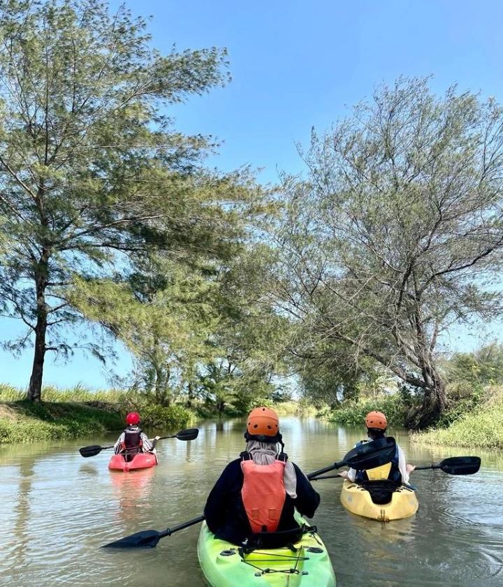 Menjelajahi Hutan Mangrove Melihat Keindahan Panorama Hutan Mangrove Sambil Olahraga Kano