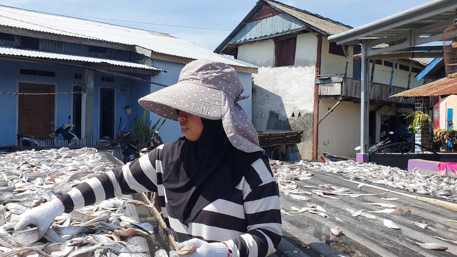 Berkat Pendampingan BRI Cabang Bengkulu, Kelompok Usaha Ikan Asin dan Ikan Kering Tembus Pasar Nasional