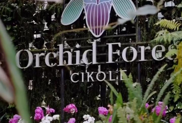 Orchid Forest Cikole, Taman Wisata Konservasi Anggrek Terbesar di Indonesia 