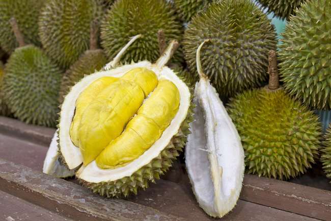 Sayang Dilewatkan! Ini Manfaat Durian bagi Kesehatan Tubuh