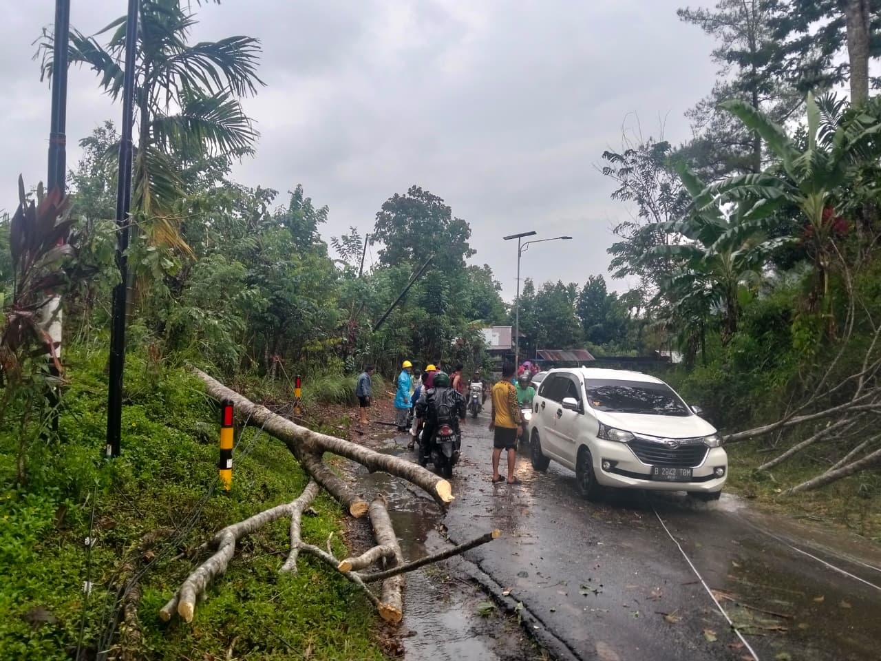  Potensi Puting Beliung Meningkat, Ini Imbauan BPBD Lebong 