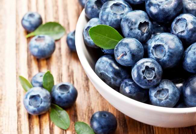 Khasiat Buah Blueberry Ternyata Sangat Dahsyat untuk Kesehatan